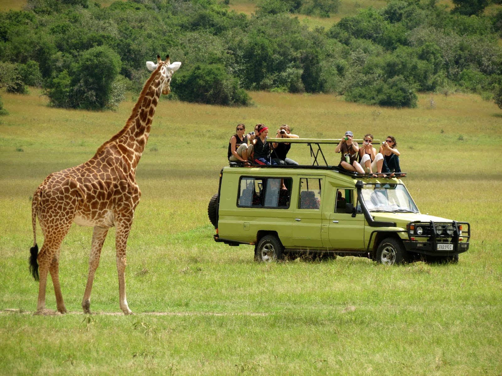 PiPaPohl Safari